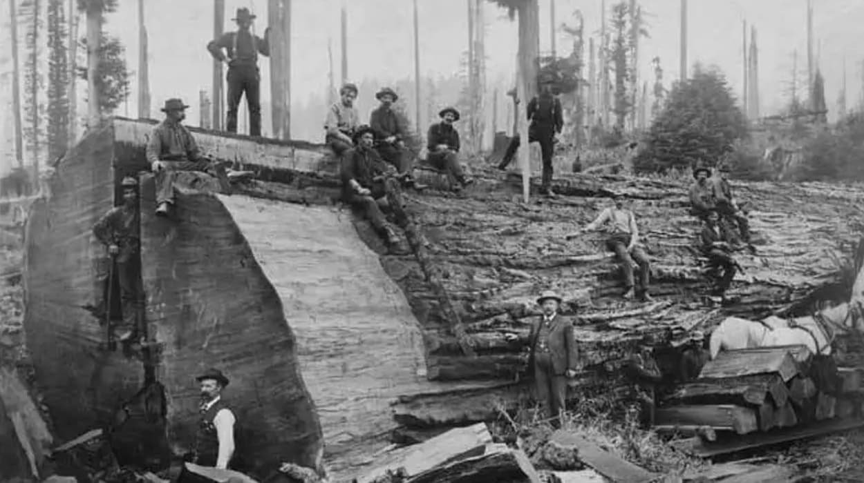 Pioneer Era of King County (1850s–1900)