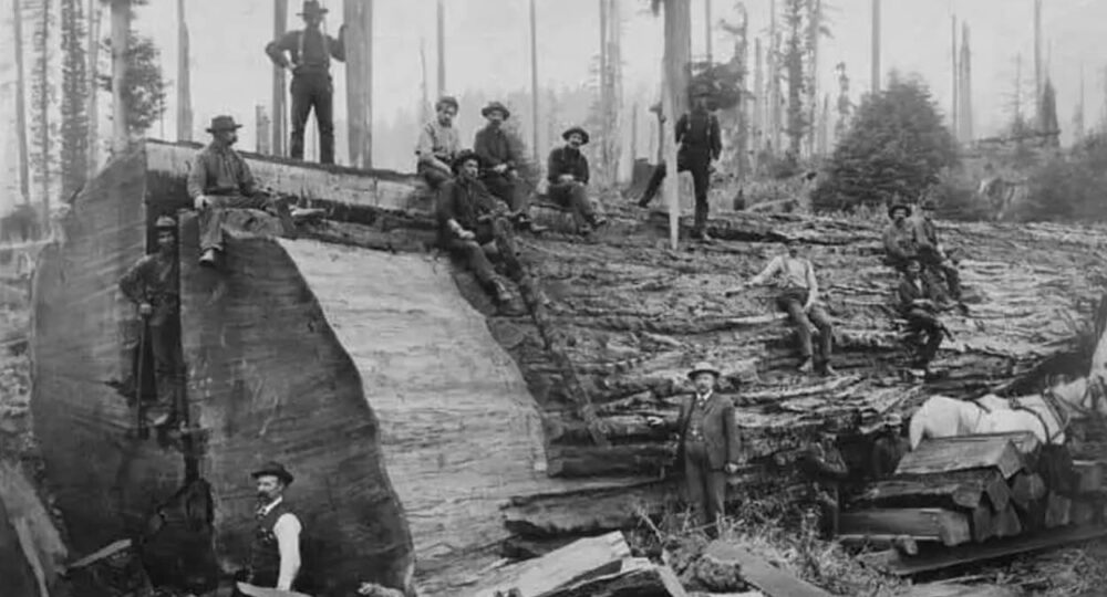 Pioneer Era of King County (1850s–1900)