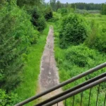 Explore the Best Parks and Trails in Kent, Washington: A Nature Lover’s Guide