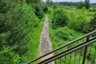 Explore the Best Parks and Trails in Kent, Washington: A Nature Lover’s Guide