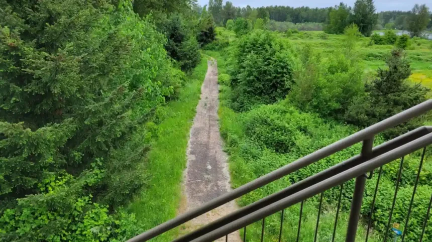 Explore the Best Parks and Trails in Kent, Washington: A Nature Lover’s Guide