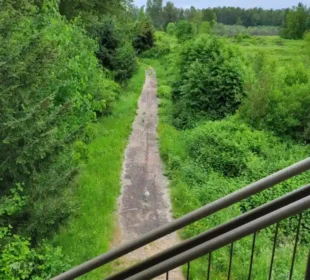 Explore the Best Parks and Trails in Kent, Washington: A Nature Lover’s Guide