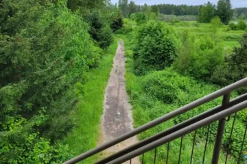 Explore the Best Parks and Trails in Kent, Washington: A Nature Lover’s Guide