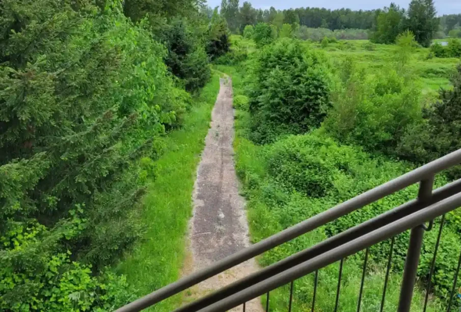 Explore the Best Parks and Trails in Kent, Washington: A Nature Lover’s Guide