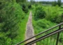 Explore the Best Parks and Trails in Kent, Washington: A Nature Lover’s Guide