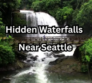 Hidden Waterfalls Near Seattle: Secret Trails & Scenic Hikes for Nature Lovers