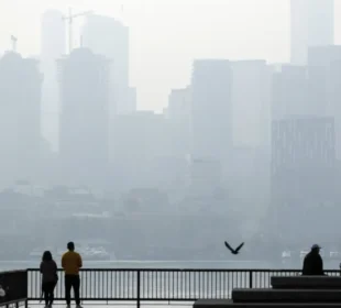 Seattle Air Quality: Complete Guide to Pollution and Safety