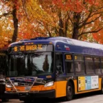 King County Road Trips