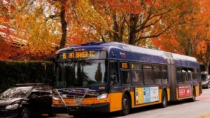 King County Road Trips