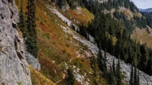 Top 20 Hiking Trails Near Seattle