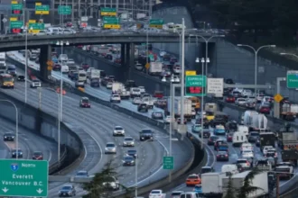 Behind the Scenes at Garden d’Lights: Bellevue’s Annual Holiday Spectacle