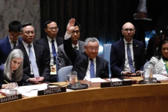 China and Russia veto UN resolution on protecting Hormuz shipping