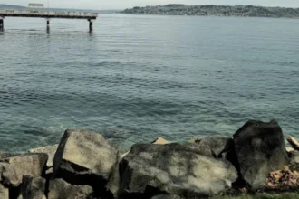 Alki Beach Seattle Visitor Guide for Skyline Views