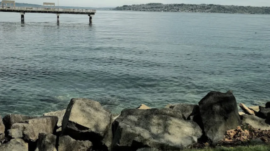 Alki Beach Seattle Visitor Guide for Skyline Views