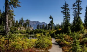Crystal Springs Seattle Nature Access Guide
