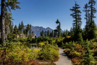 Crystal Springs Seattle Nature Access Guide