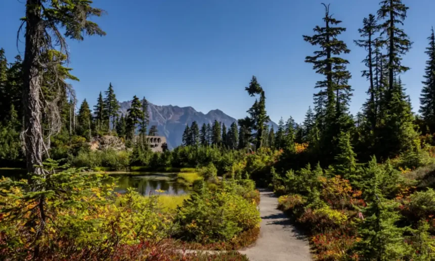 Crystal Springs Seattle Nature Access Guide