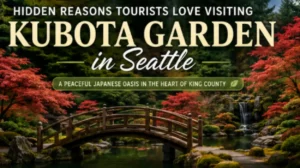 Hidden Reasons Tourists Love and Visiting Kubota Garden in Seattle.