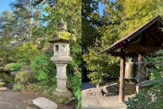 Hidden Reasons to Visit Kubota Garden in Seattle