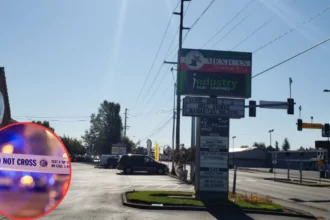 Man Killed in Auburn Gresham Hit-and-Run 2026