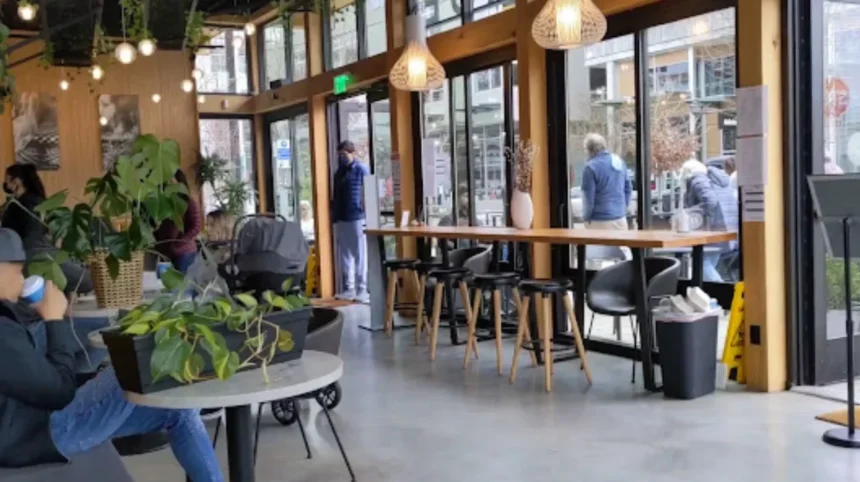 best-cafes-near-museum-of-flight-in-seattle