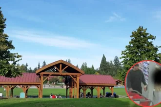 Man Charged for Molesting 6-Year-Old, Filming Minors at Bellevue 2026.