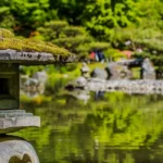 Seattle Japanese Garden Peaceful Escape Guide