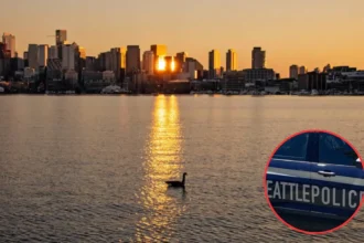 Seattle Officers, SDOT Worker Attacked by Homeless Suspect; Seattle 2026