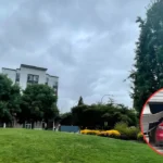 Tesla Autopilot Crashes Redmond Garage: Driver Claims Malfunction,2026