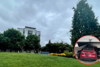 Tesla Autopilot Crashes Redmond Garage: Driver Claims Malfunction,2026