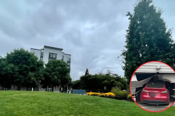 Tesla Autopilot Crashes Redmond Garage: Driver Claims Malfunction,2026