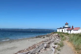 Discovery Park Seattle: Visitor Guide to Trails & Beaches