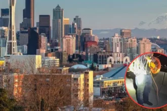 West Seattle Bridge Copper Theft Arrest, Warrant Issued 2026