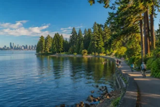 The Ultimate Guide to Visiting Seward Park in Seattle