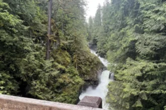 Why Twin Falls Trail Is Perfect for Scenic Washington Adventures