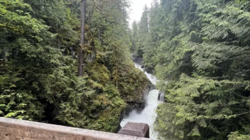 Why Twin Falls Trail Is Perfect for Scenic Washington Adventures