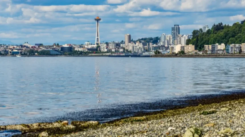 West Seattle Coastal Guide: Beaches, Views & Travel Tips