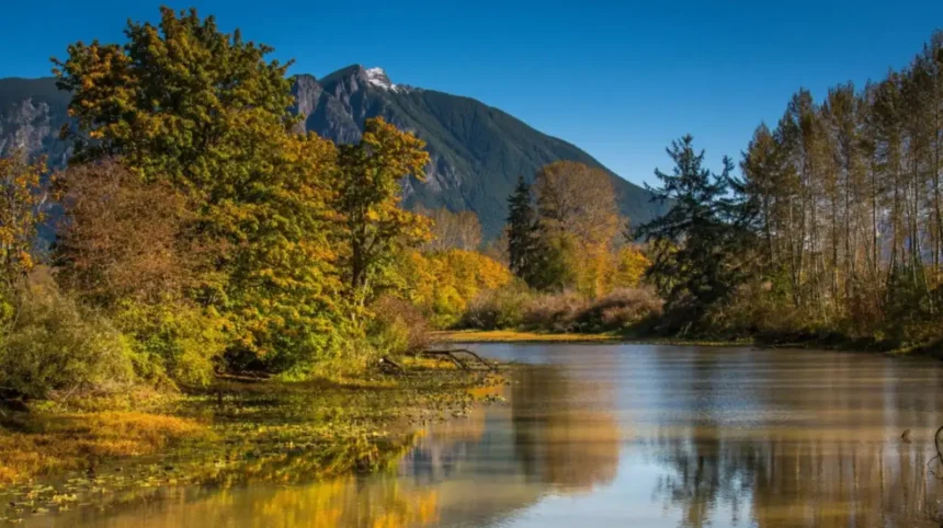 Fall City Washington Travel Guide: Scenic Small-Town Gem