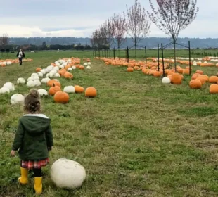 The Latest Fall Festivals Lighting Up King County