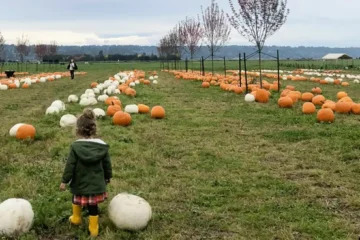 The Latest Fall Festivals Lighting Up King County