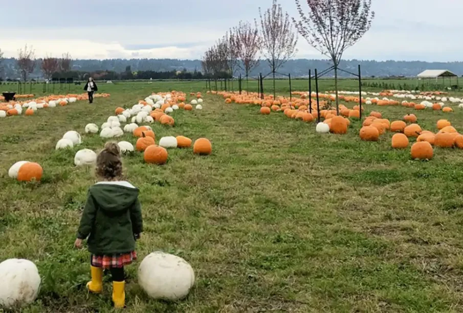 The Latest Fall Festivals Lighting Up King County
