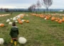 The Latest Fall Festivals Lighting Up King County