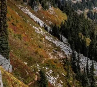 Top 20 Hiking Trails Near Seattle