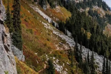 Top 20 Hiking Trails Near Seattle