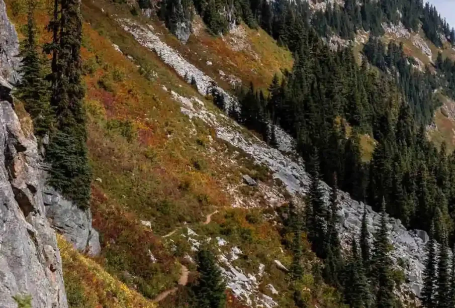 Top 20 Hiking Trails Near Seattle