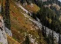 Top 20 Hiking Trails Near Seattle
